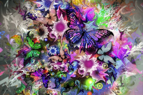 BUTTERFLY EXPLOSION - DIY PAINTING BY NUMBERS KIT