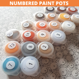 Consonance And Dissonance DIY Paint By Numbers Kit