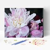 PINK FLOWER-DIY Paint By Numbers Kit