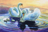 DIY Painting By Numbers-Swan Playing In The Water