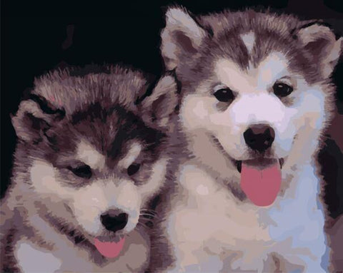 Paint by Numbers Kit - Husky Puppy Buddies