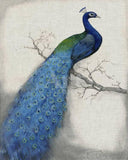 Paint by Numbers -Peacock Blue